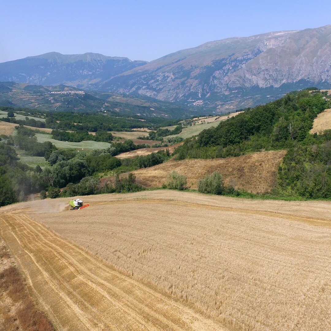 Una filiera storica